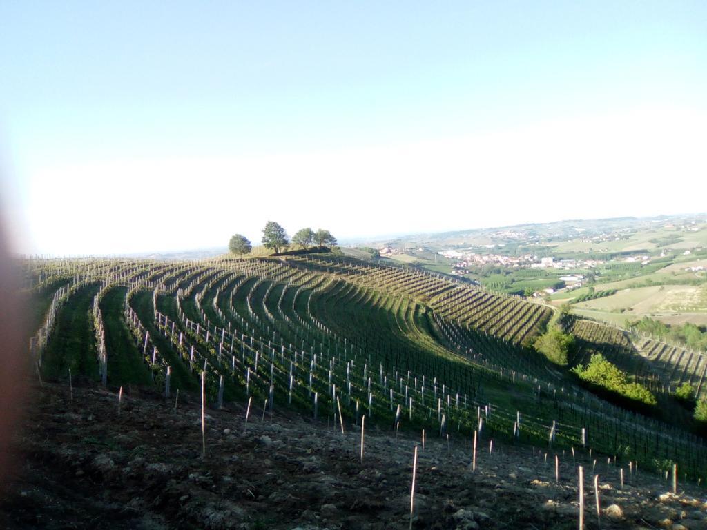 Domus Langhe B&B Treiso Extérieur photo
