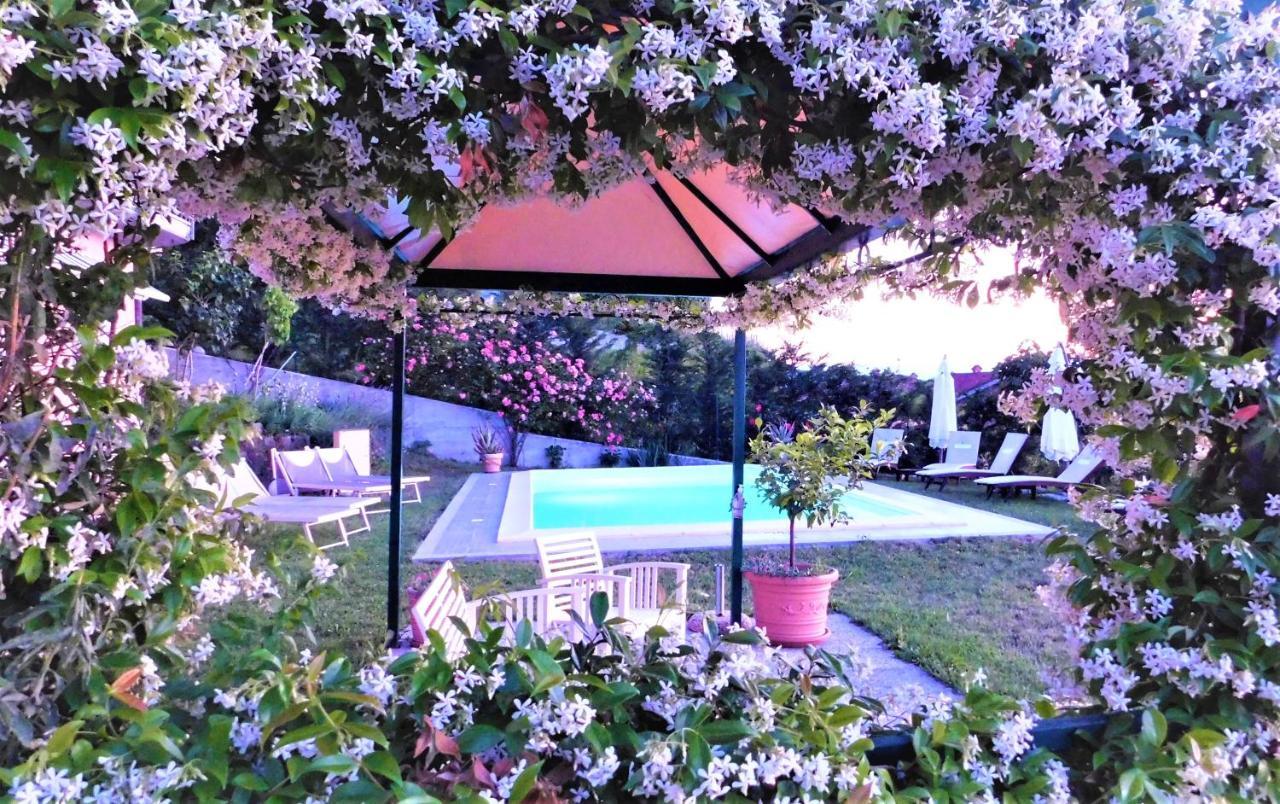 Domus Langhe B&B Treiso Extérieur photo